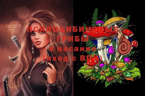стафф Беломорск