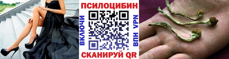 Псилоцибиновые грибы MAGIC MUSHROOMS  Пионерский 