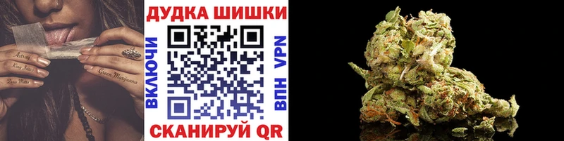 наркотики  Пионерский  Каннабис сатива 